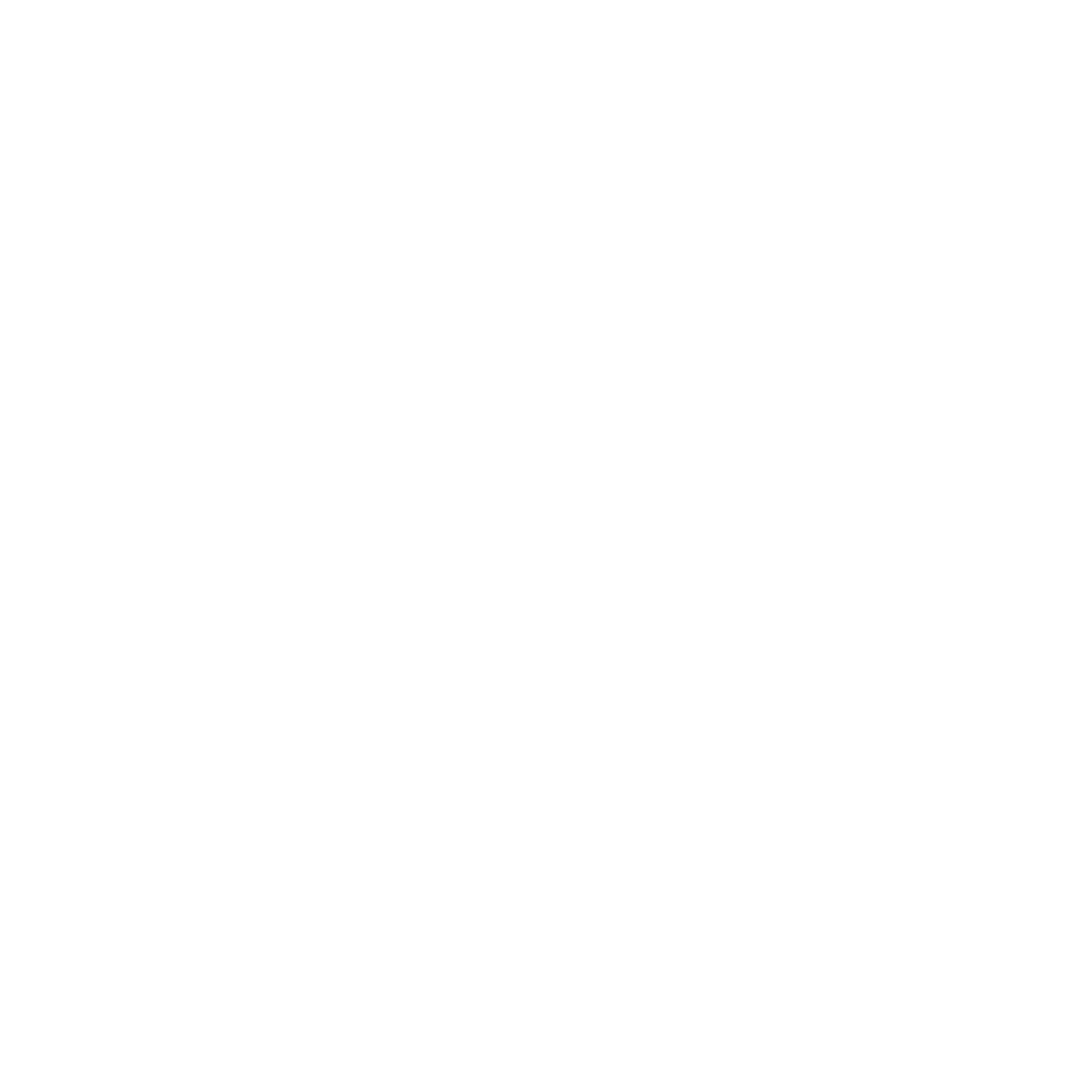 Pacific Princess Needlepoint
